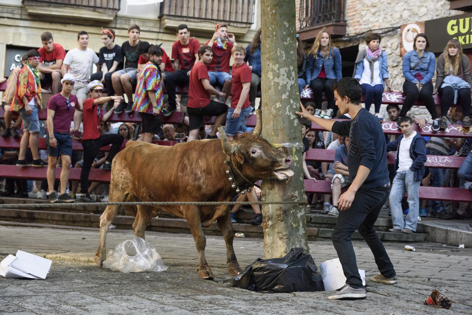 Sokamuturra - Hernani